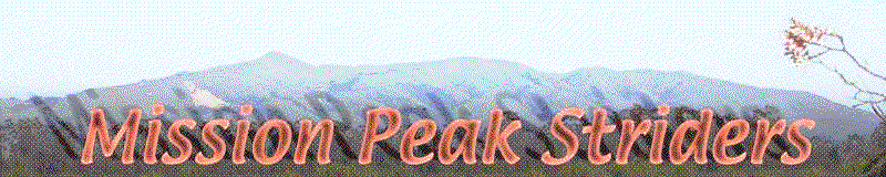 banner1